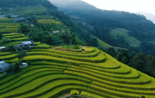 Danh thắng quốc gia ruộng bậc thang Hoàng Su Phì