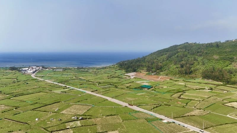 du-lich-dao-ly-son-2-ngay-1-dem-7